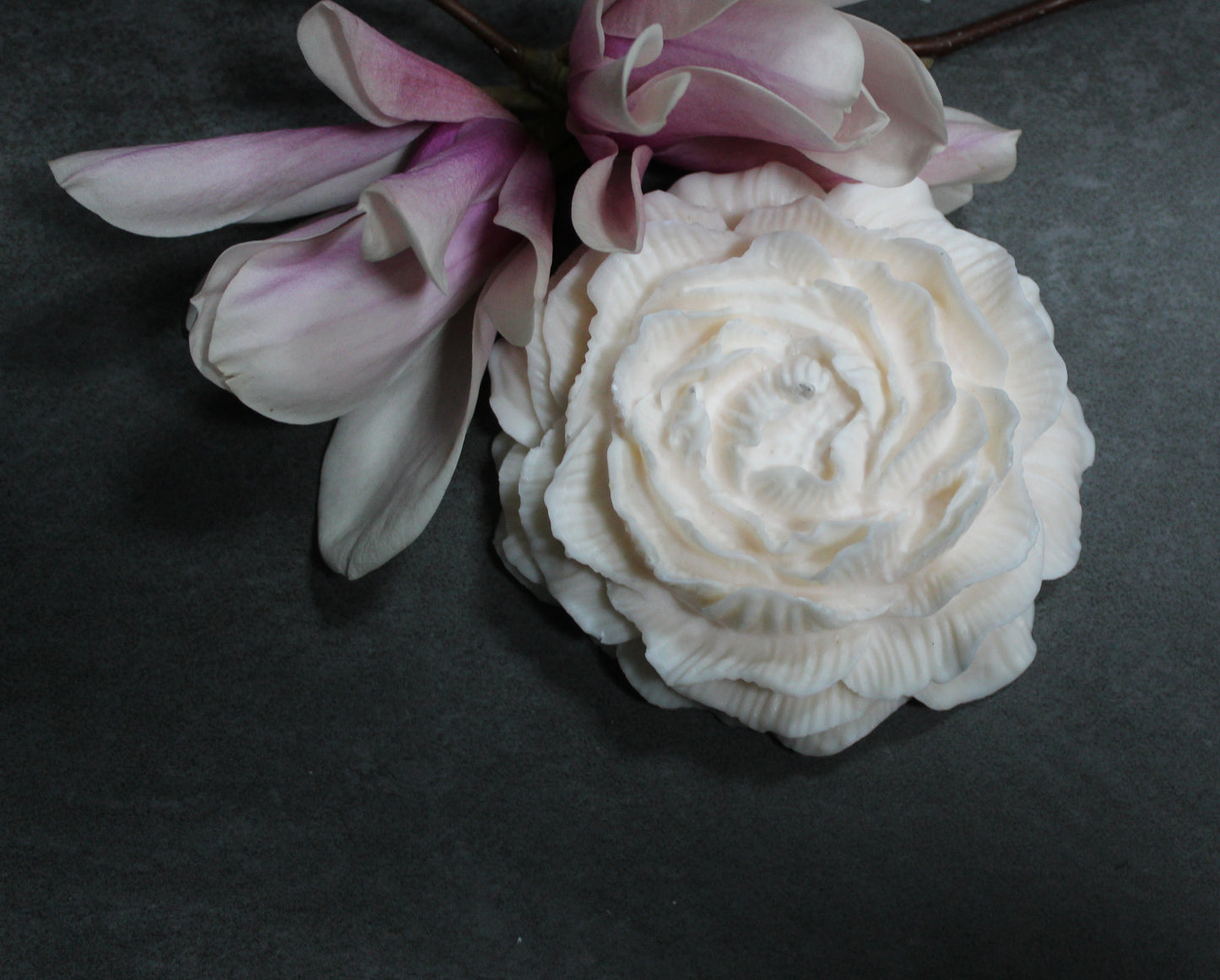 Large Peony (diverse varianten)