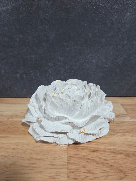 XL Pioenroos met Goudaccenten